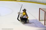Photo hockey match Rouen - Strasbourg  le 14/10/2016