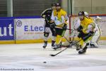 Photo hockey match Rouen - Strasbourg  le 10/01/2017