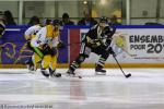 Photo hockey match Rouen - Strasbourg  le 10/01/2017