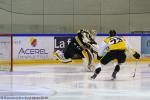 Photo hockey match Rouen - Strasbourg  le 10/01/2017