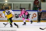 Photo hockey match Rouen - Strasbourg  le 29/10/2017