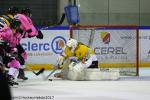 Photo hockey match Rouen - Strasbourg  le 29/10/2017
