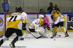 Photo hockey match Rouen - Strasbourg  le 29/10/2017