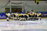 Photo hockey match Rouen - Strasbourg  le 16/01/2018