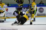 Photo hockey match Rouen - Strasbourg  le 16/01/2018