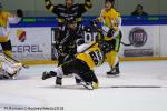 Photo hockey match Rouen - Strasbourg  le 16/01/2018
