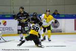 Photo hockey match Rouen - Strasbourg  le 16/01/2018