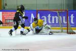 Photo hockey match Rouen - Strasbourg  le 16/01/2018