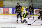 Photo hockey match Rouen - Strasbourg  le 16/01/2018