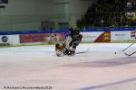 Photo hockey match Rouen - Strasbourg  le 16/01/2018