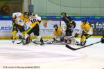 Photo hockey match Rouen - Strasbourg  le 16/01/2018