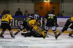 Photo hockey match Rouen - Strasbourg  le 30/11/2018