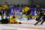 Photo hockey match Rouen - Strasbourg  le 30/11/2018