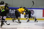 Photo hockey match Rouen - Strasbourg  le 30/11/2018