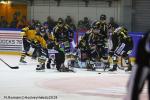 Photo hockey match Rouen - Strasbourg  le 27/01/2019