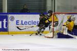 Photo hockey match Rouen - Strasbourg  le 27/01/2019
