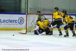 Photo hockey match Rouen - Strasbourg  le 27/01/2019