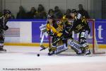 Photo hockey match Rouen - Strasbourg  le 27/01/2019