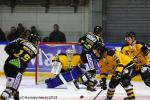 Photo hockey match Rouen - Strasbourg  le 27/01/2019