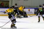 Photo hockey match Rouen - Strasbourg  le 27/01/2019
