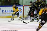 Photo hockey match Rouen - Strasbourg  le 27/01/2019