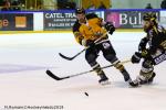 Photo hockey match Rouen - Strasbourg  le 27/01/2019