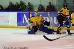 Photo hockey match Rouen - Strasbourg  le 27/01/2019