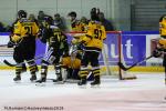 Photo hockey match Rouen - Strasbourg  le 27/01/2019
