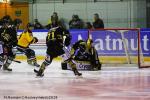 Photo hockey match Rouen - Strasbourg  le 27/01/2019
