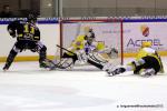 Photo hockey match Rouen - Strasbourg  le 03/01/2012