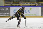 Photo hockey match Rouen - Strasbourg  le 18/01/2013