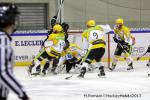 Photo hockey match Rouen - Strasbourg  le 18/01/2013