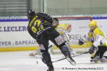 Photo hockey match Rouen - Strasbourg  le 18/01/2013