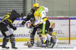 Photo hockey match Rouen - Strasbourg  le 18/01/2013