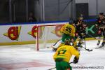 Photo hockey match Rouen - Tampere le 18/10/2023