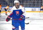 Photo hockey match Slovakia - Netherlands le 28/04/2022