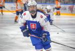 Photo hockey match Slovakia - Netherlands le 28/04/2022