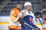 Photo hockey match Slovakia - Netherlands le 28/04/2022