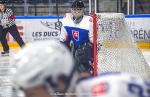 Photo hockey match Slovakia - Netherlands le 28/04/2022