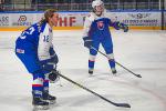 Photo hockey match Slovakia - Netherlands le 28/04/2022