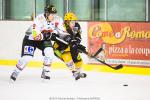 Photo hockey match Strasbourg  - Amiens  le 14/01/2014