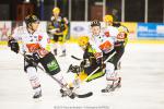 Photo hockey match Strasbourg  - Amiens  le 14/01/2014