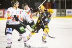 Photo hockey match Strasbourg  - Amiens  le 14/01/2014