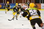 Photo hockey match Strasbourg  - Amiens  le 16/11/2014