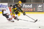 Photo hockey match Strasbourg  - Amiens  le 16/11/2014
