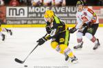 Photo hockey match Strasbourg  - Amiens  le 16/11/2014