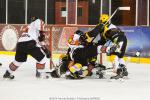 Photo hockey match Strasbourg  - Amiens  le 18/11/2014