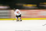 Photo hockey match Strasbourg  - Amiens  le 18/11/2014