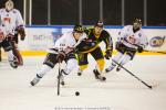 Photo hockey match Strasbourg  - Amiens  le 28/10/2016