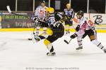 Photo hockey match Strasbourg  - Amiens  le 26/12/2010